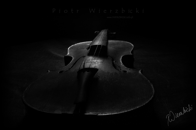 Piotr Wierzbicki - www.Wierzbicki.info.pl